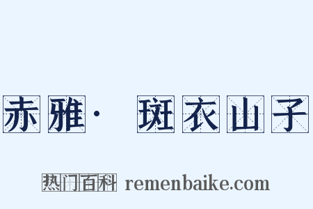 赤雅·斑衣山子是什么意思的图片